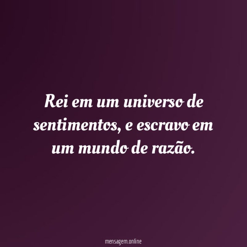 Rei em um universo de sentimentos