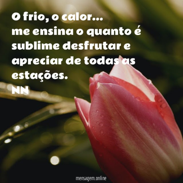 O frio