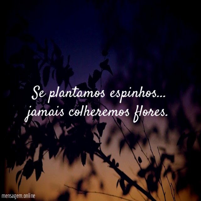Se plantamos espinhos