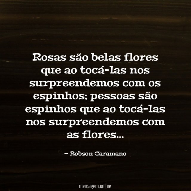 Rosas são belas flores que ao tocá-las nos