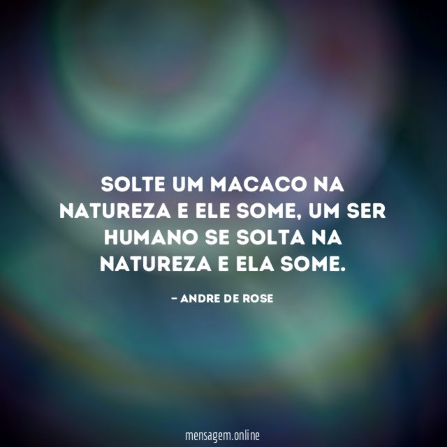 Solte um macaco na natureza e ele some