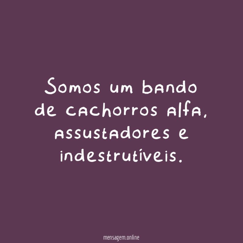 Somos um bando de cachorros alfa