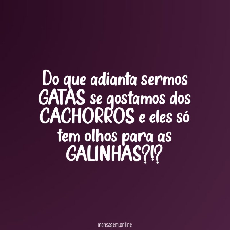 do que adianta sermos GATAS se gostamos dos