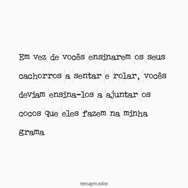 Em vez de vocês ensinarem os seus cachorros