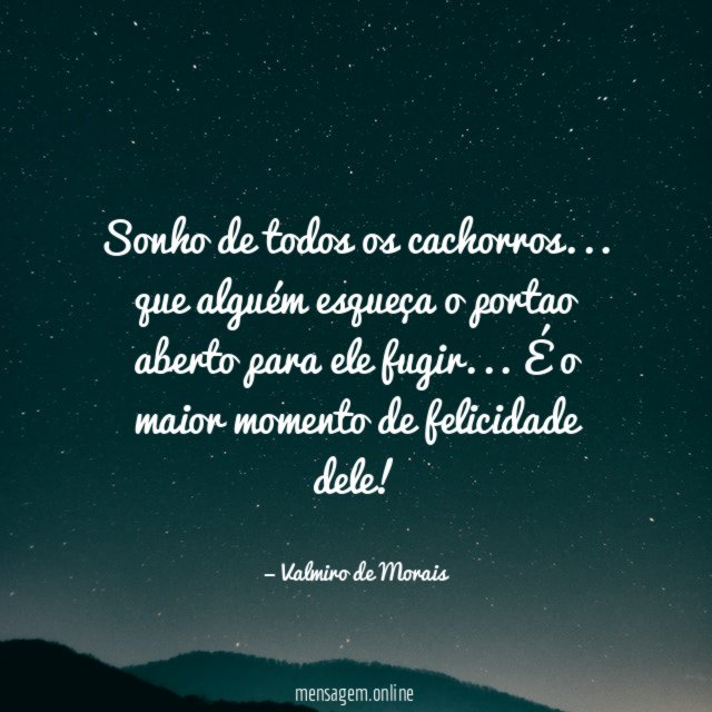 Sonho de todos os cachorros