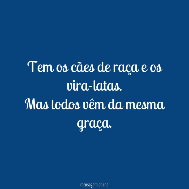 Tem os cães de raça e os vira-latas