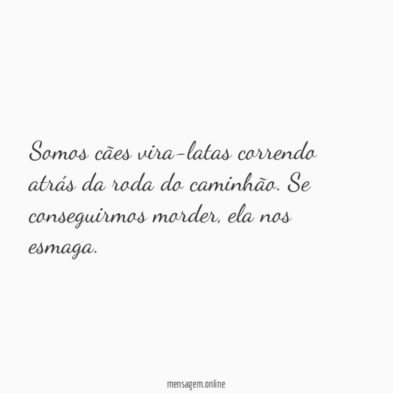 Somos cães vira-latas correndo atrás da roda do caminhão