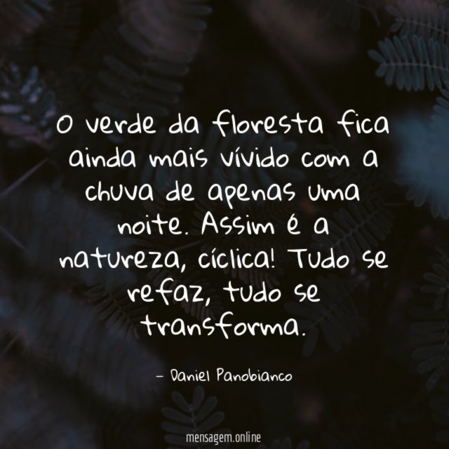 O verde da floresta fica ainda mais vívido