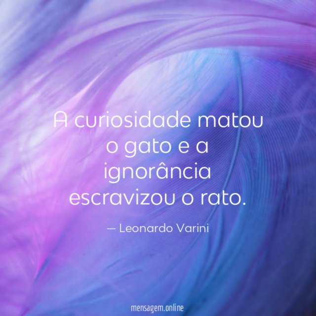 A curiosidade matou o gato e a ignorância escravizou o rato