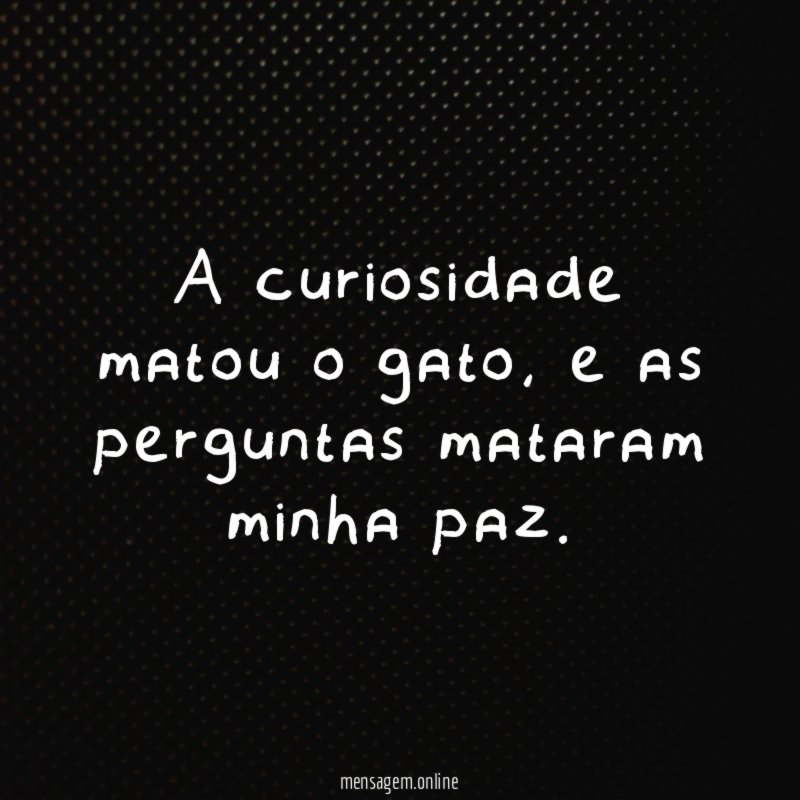 A curiosidade matou o gato