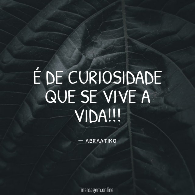 É de curiosidade que se vive a vida