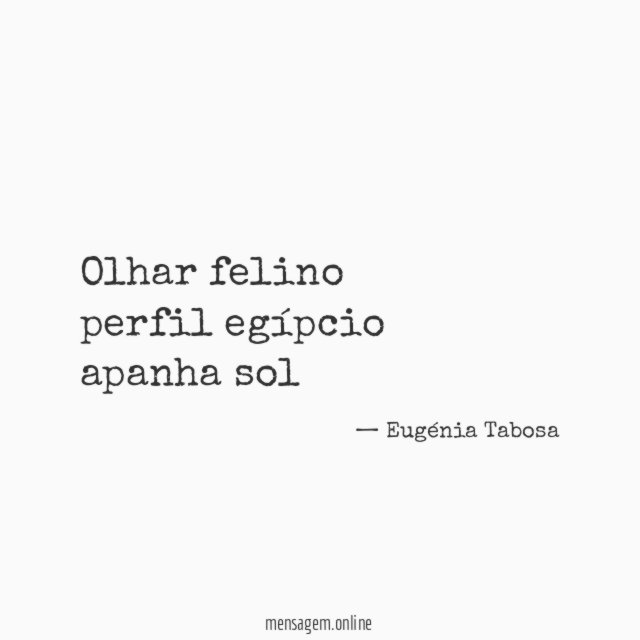 Olhar felino perfil egípcio apanha sol