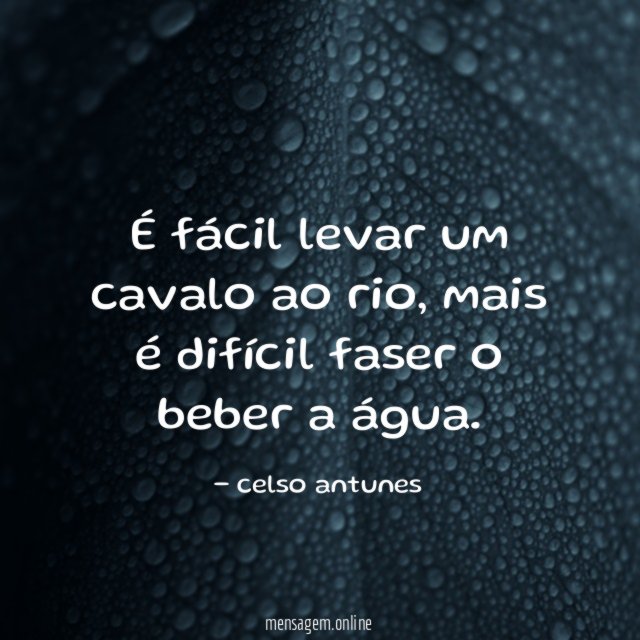 É fácil levar um cavalo ao rio
