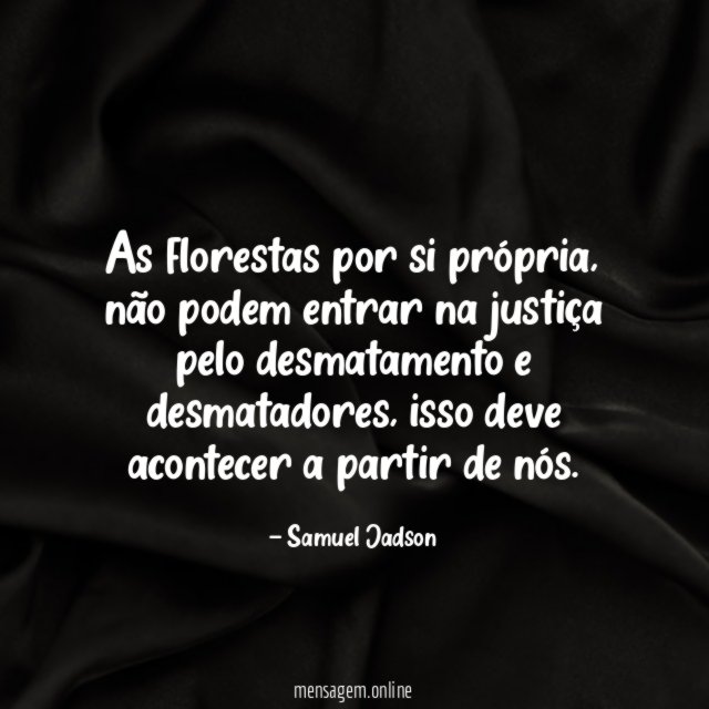As florestas por si própria