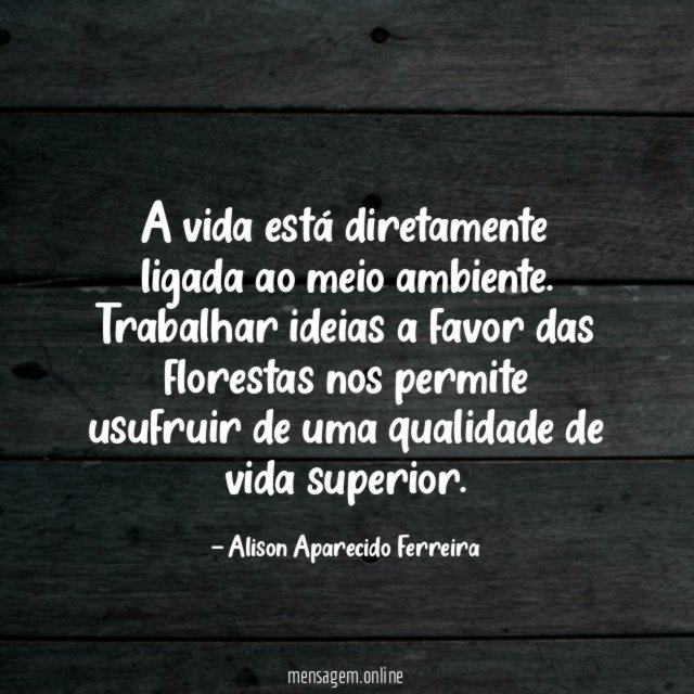 A vida está diretamente ligada ao meio ambiente