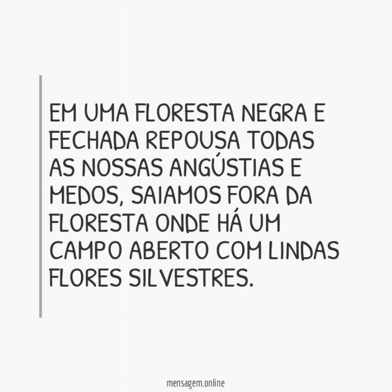 Em uma floresta negra e fechada repousa todas
