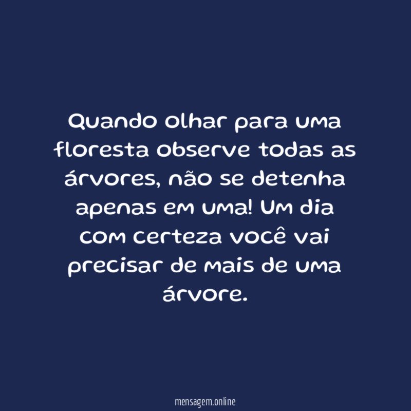 Quando olhar para uma floresta observe todas as árvores
