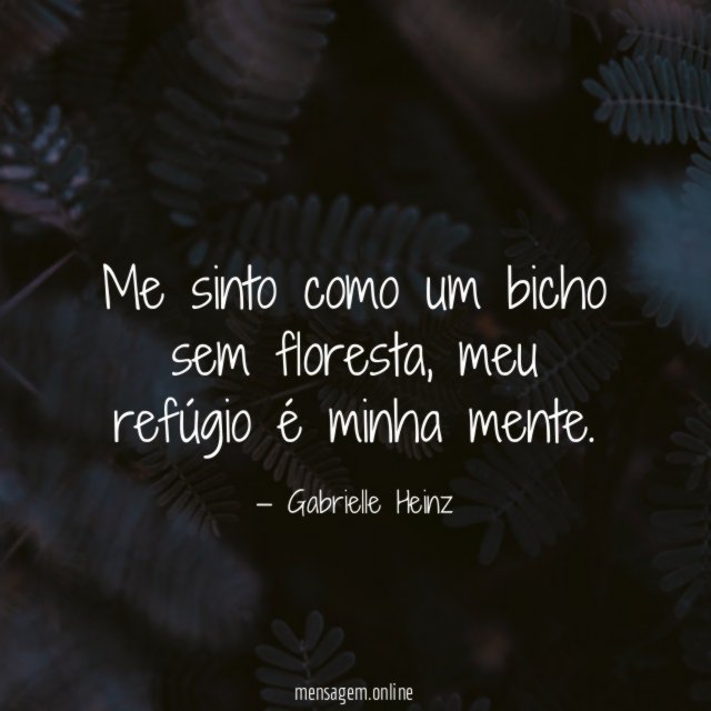 Me sinto como um bicho sem floresta