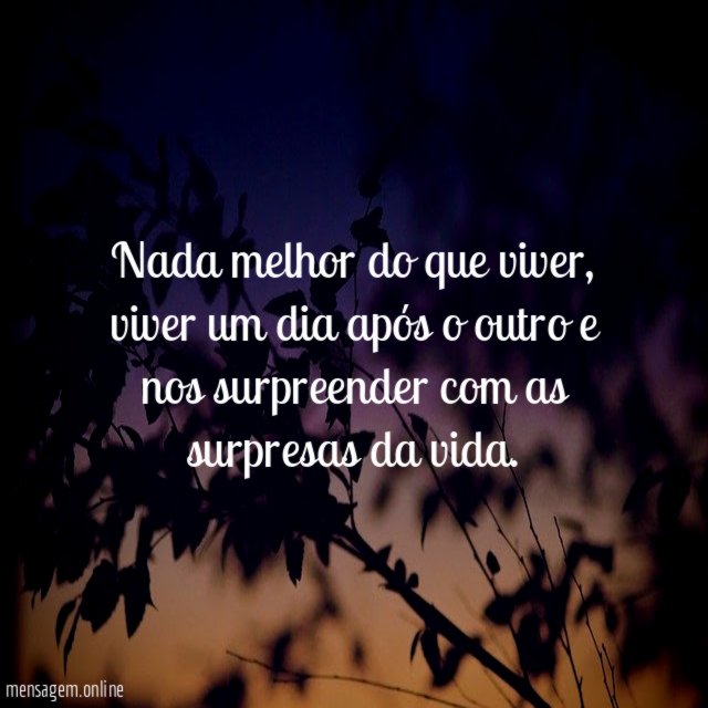 Nada melhor do que viver