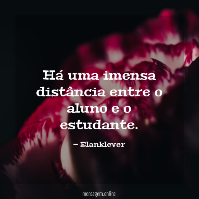 Há uma imensa distância entre o aluno e o estudante