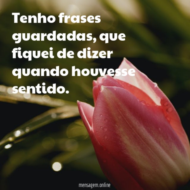 Tenho frases guardadas