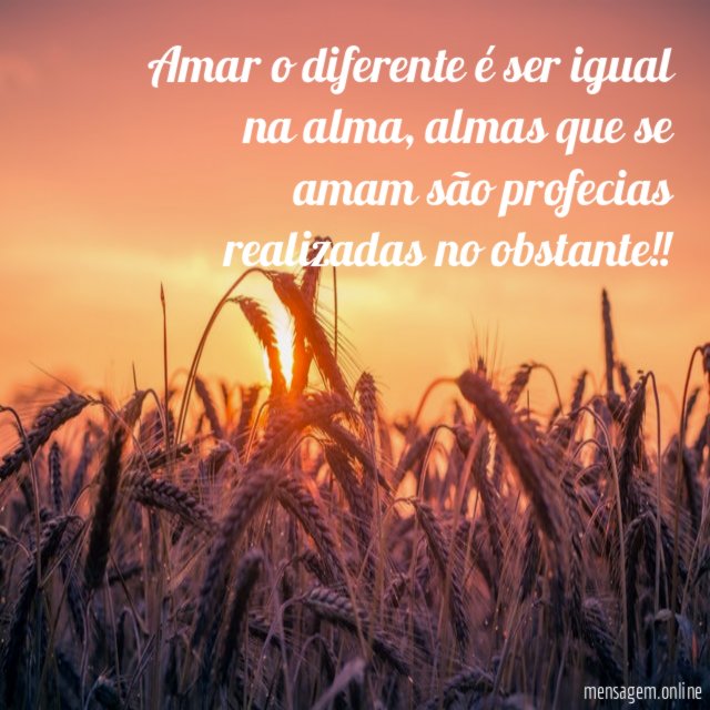 Amar o diferente é ser igual na alma