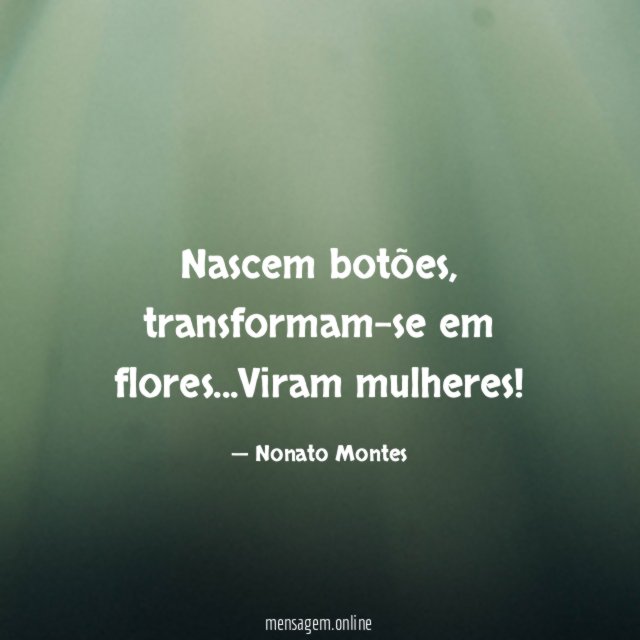 Nascem botões