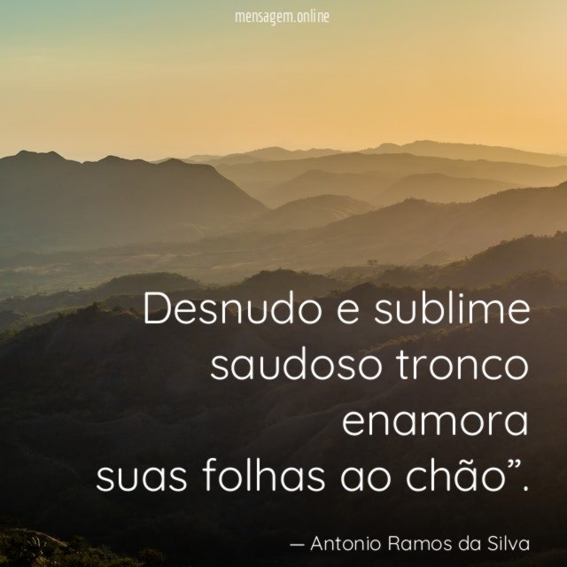 Desnudo e sublime saudoso tronco enamora suas folhas ao chão”