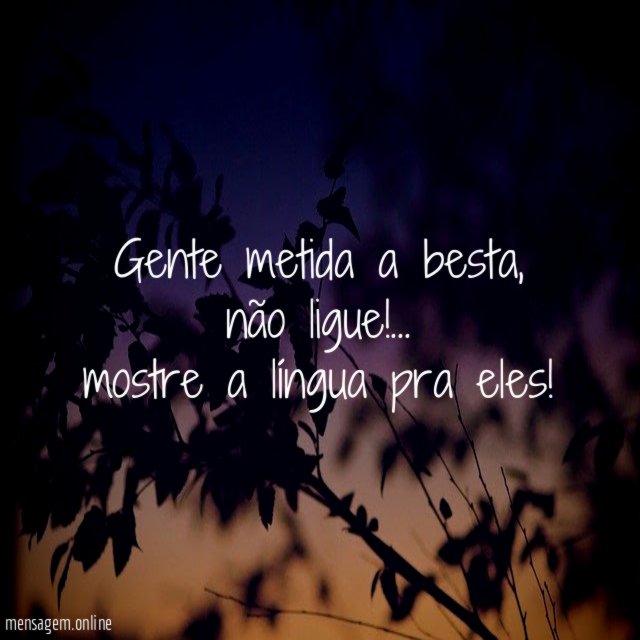 Gente metida a besta