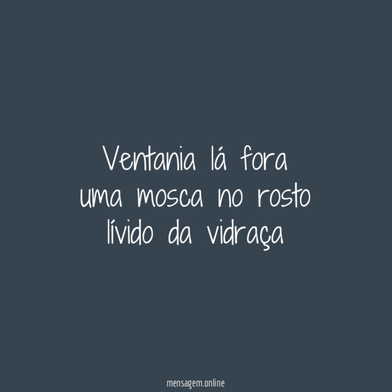 ventania lá fora uma mosca no rosto lívido da vidraça