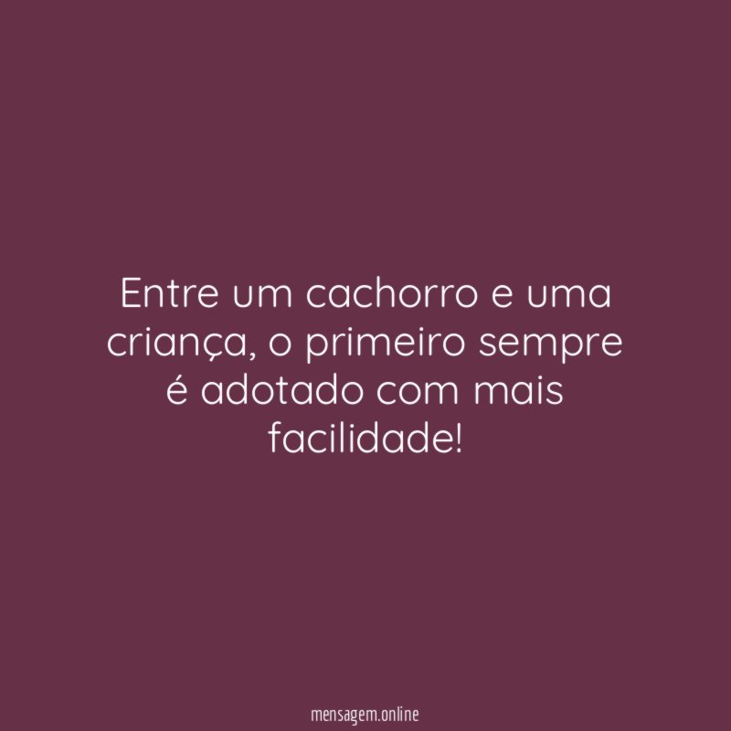 Entre um cachorro e uma criança