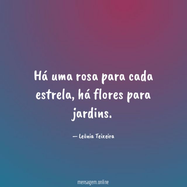 Há uma rosa para cada estrela