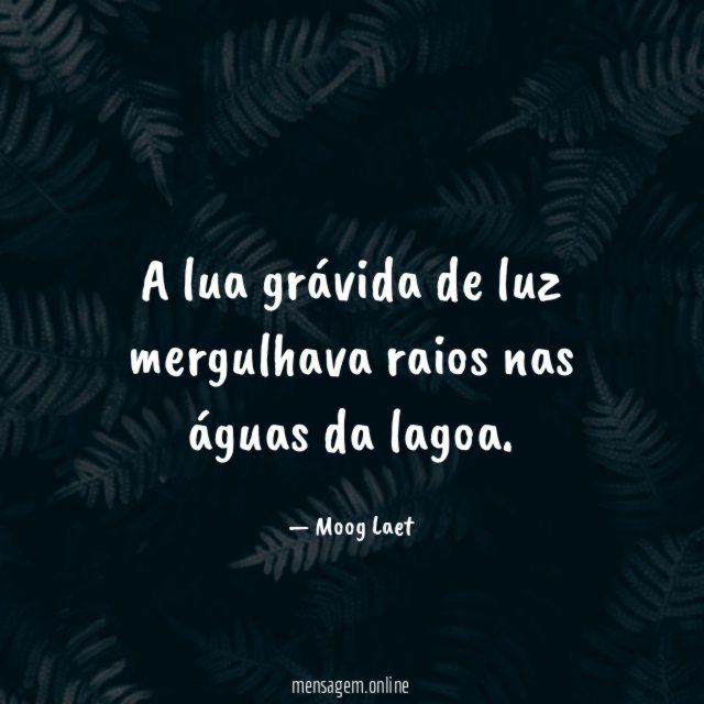 A lua grávida de luz mergulhava raios nas águas da lagoa