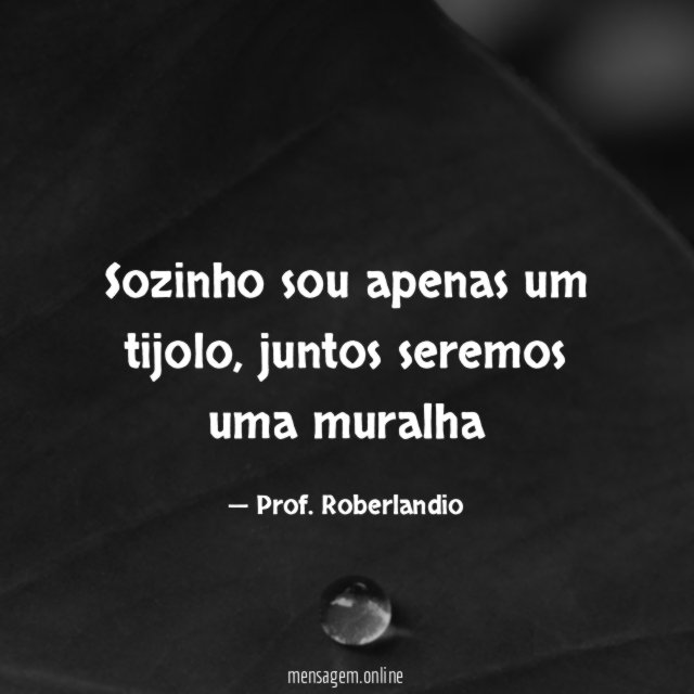 sozinho sou apenas um tijolo