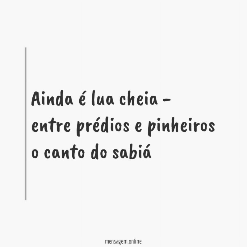 ainda é lua cheia - entre prédios e pinheiros