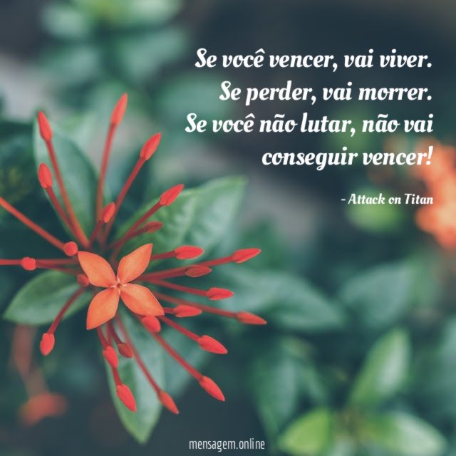 Se você vencer