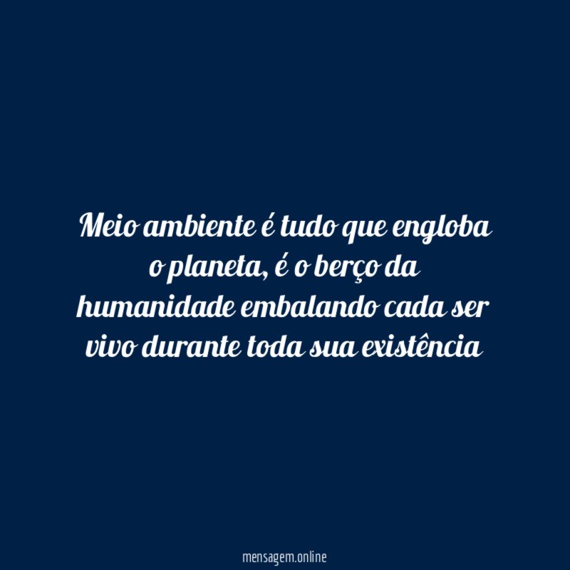 Meio ambiente é tudo que engloba o planeta