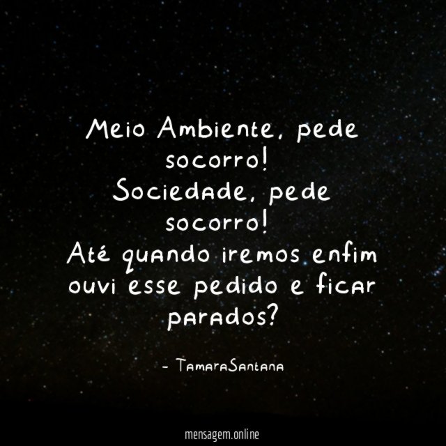 Meio Ambiente