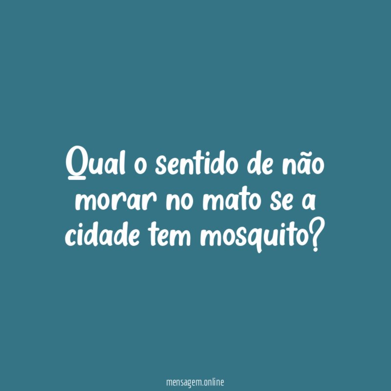 Qual o sentido de não morar no mato