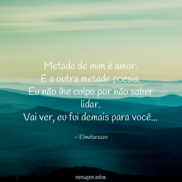 Metade de mim é amor