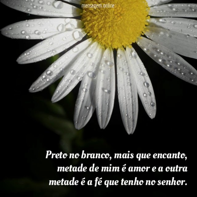 Preto no branco