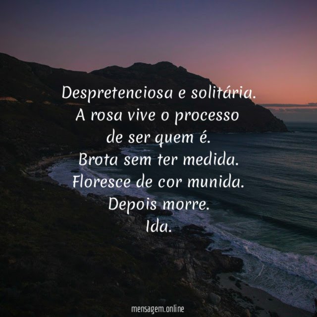 Despretenciosa e solitária