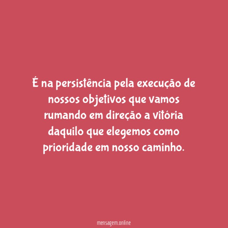 É na persistência pela execução de nossos objetivos