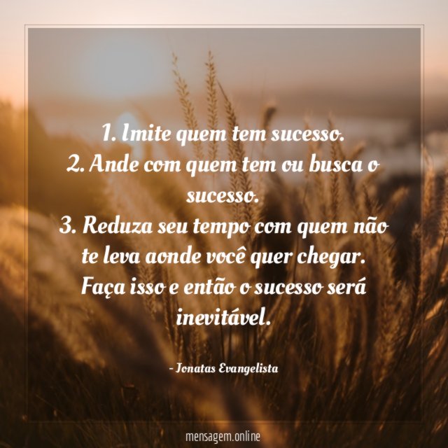 1. Imite quem tem sucesso.
2. Ande com quem tem ou busca o sucesso.
3. Reduza seu tempo com quem não te leva aonde você quer chegar.