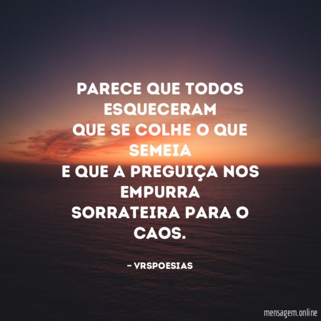 Parece que todos esqueceram que se colhe o que