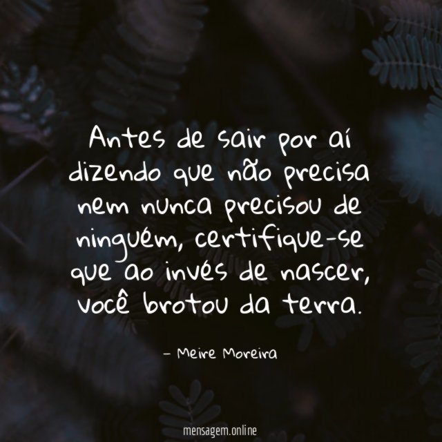 Antes de sair por aí dizendo que não