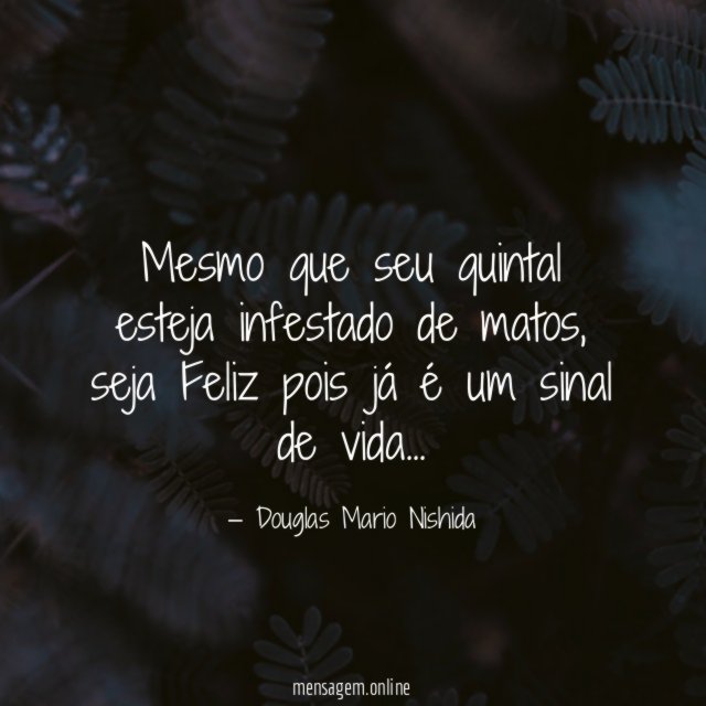 Mesmo que seu quintal esteja infestado de matos