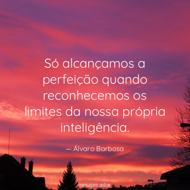 Só alcançamos a perfeição quando reconhecemos os limites