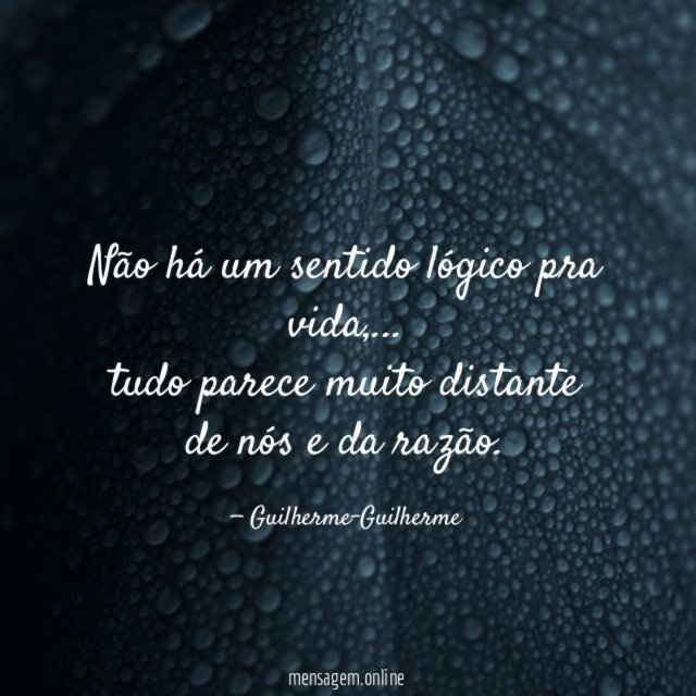 Não há um sentido lógico pra vida