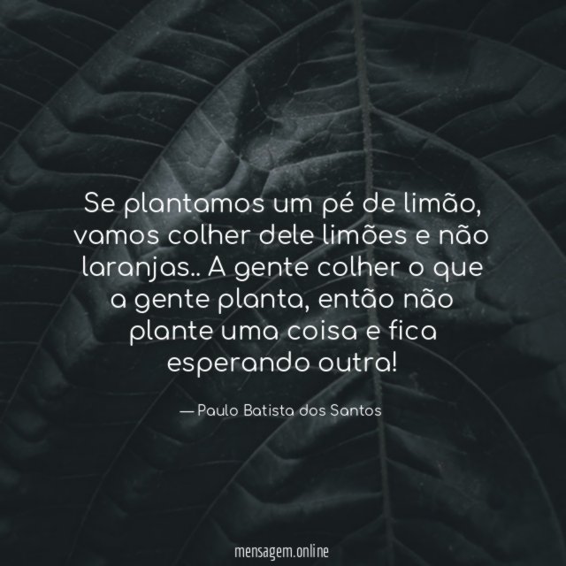 Se plantamos um pé de limão